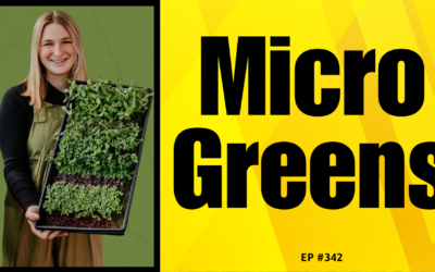 The Business of Micro Greens