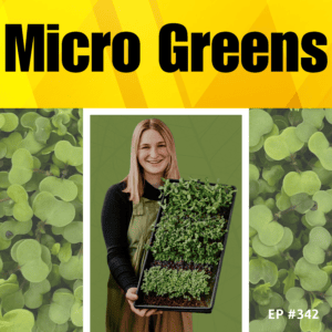 The Business of Micro Greens episode artwork